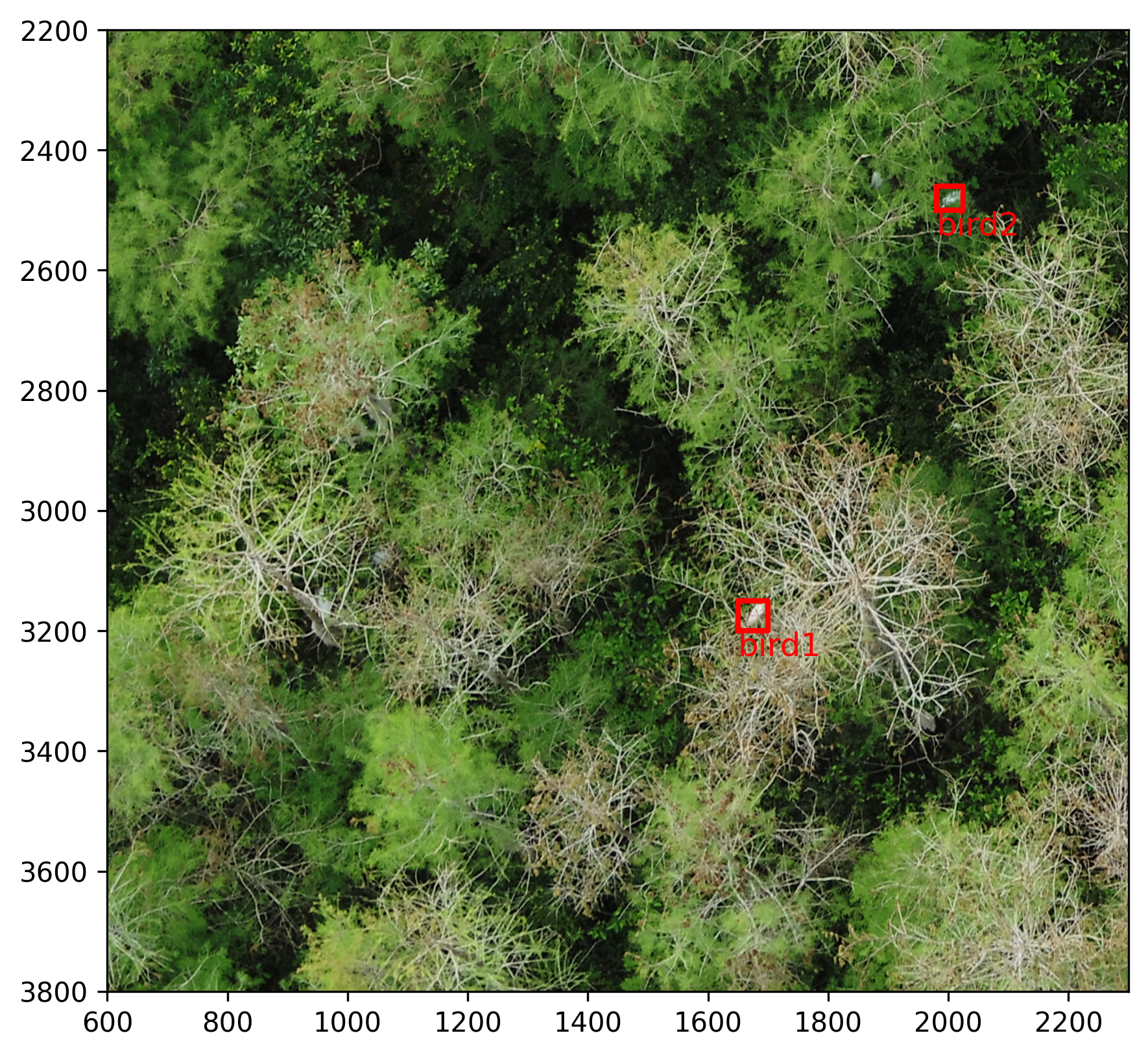 ../_images/jupyter_forward_projection_54_0.png