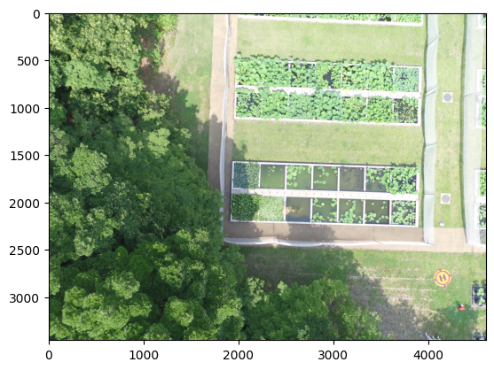 ../_images/jupyter_forward_projection_11_0.png