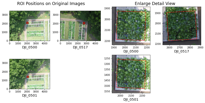 ../_images/jupyter_backward_projection_41_2.png