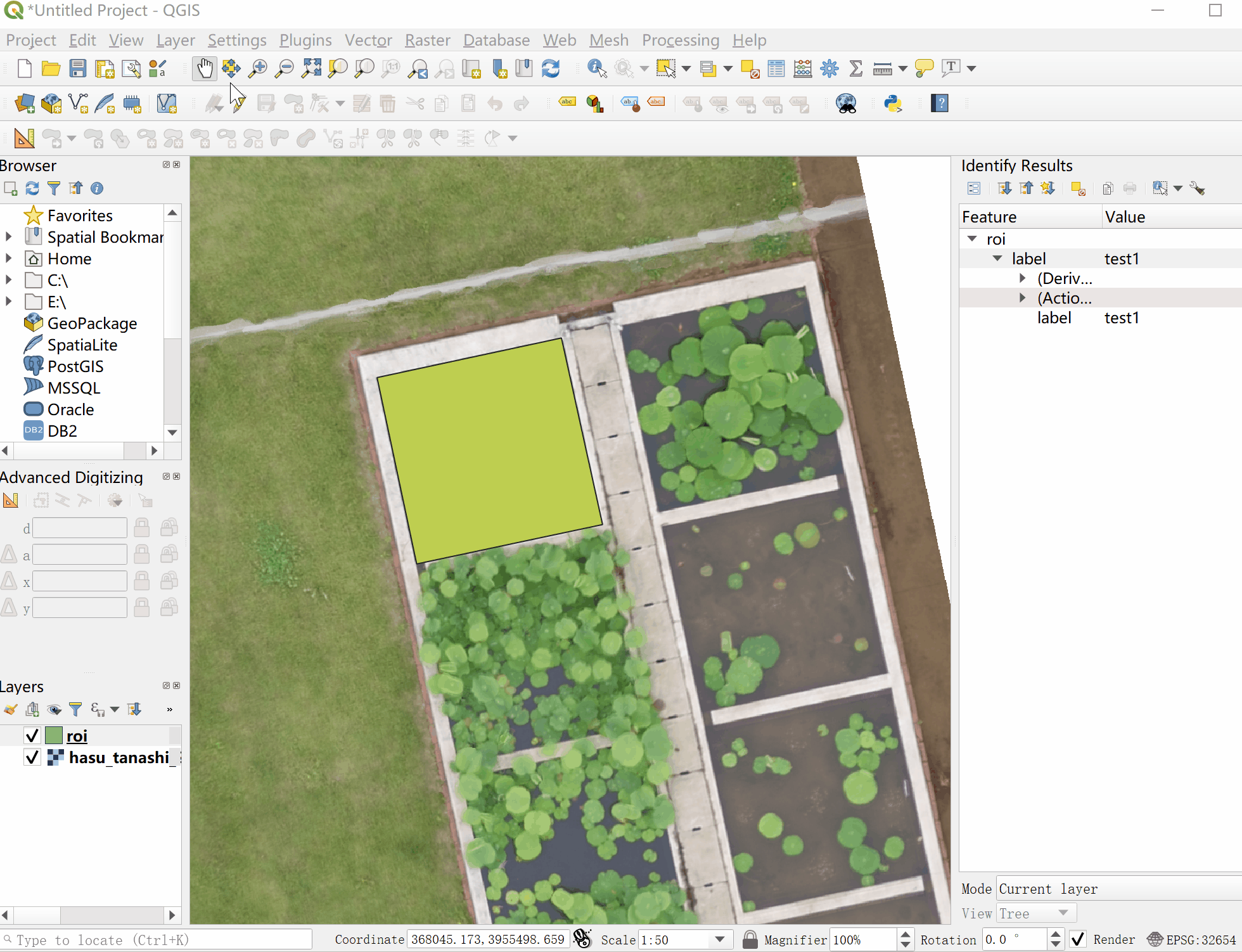 qgis_mv_roi.gif